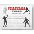 Stock Volleyball Certificate